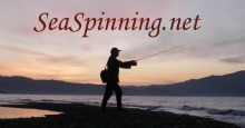 Sea Spinning Net
